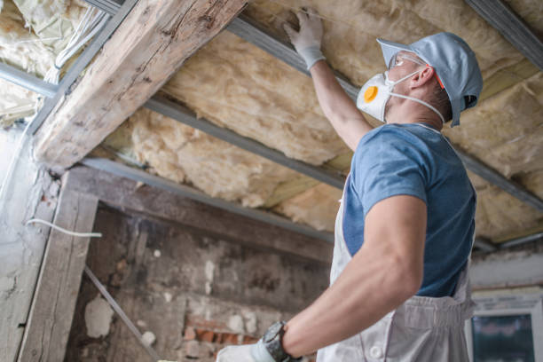 Best Residential Insulation Services  in Stonewall, LA